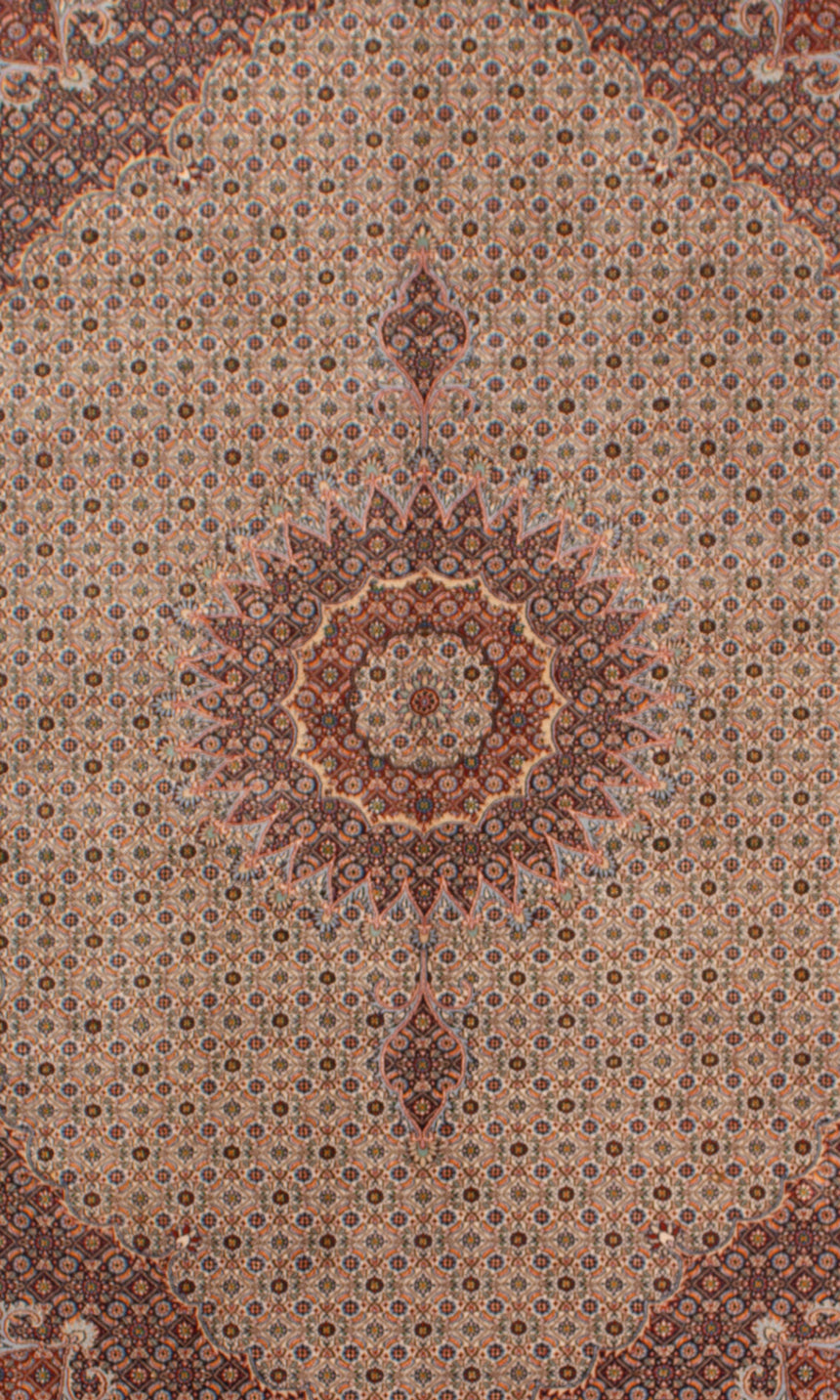 Alfombra Persa Moud | 289 x 200 cm