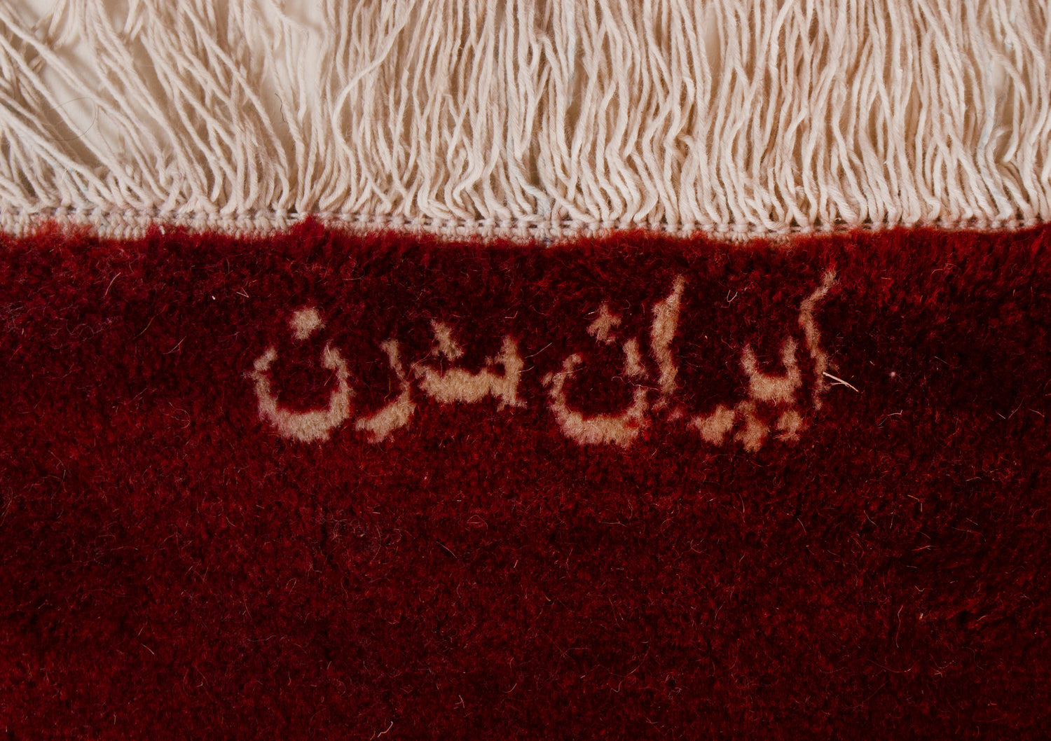 Modern Rug | 342 x 248 cm
