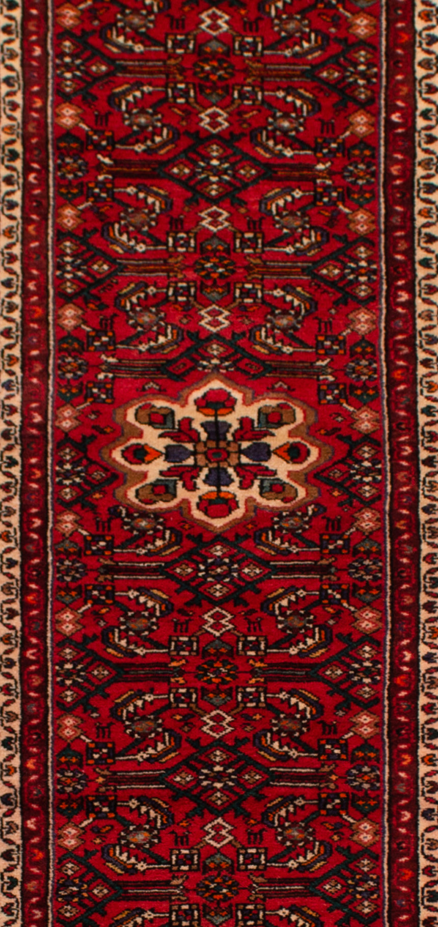 Hamedan Persian Rug | 385 x 83 cm