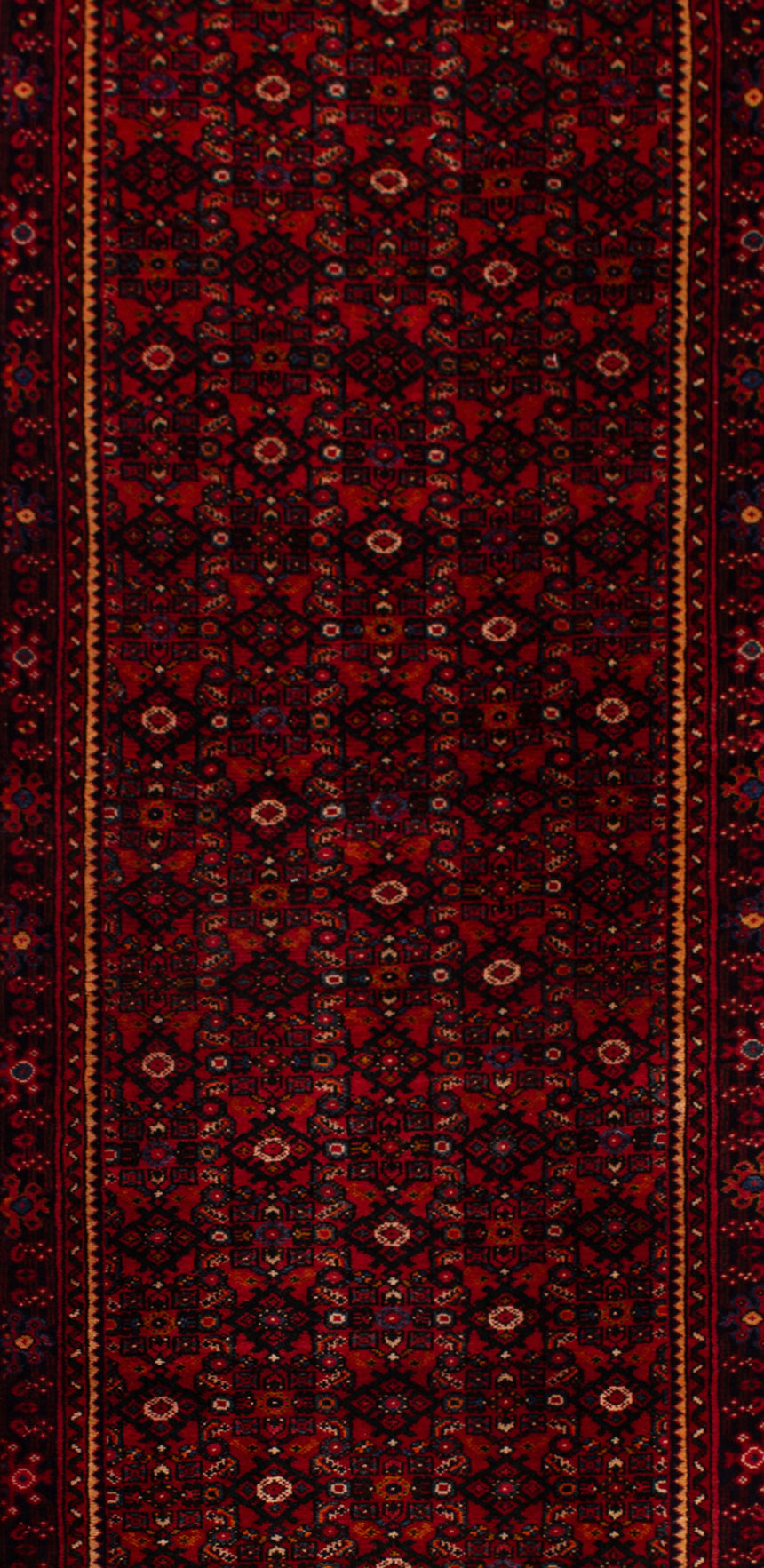 Hamedan Persian Rug | 435 x 118 cm