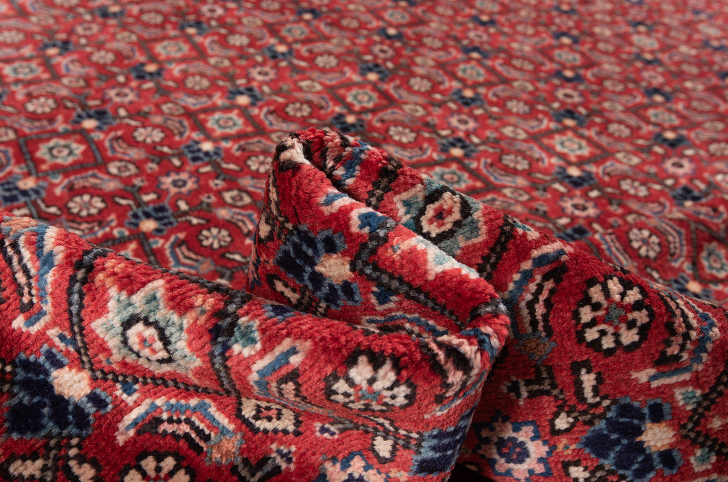 Alfombra persa Sarough | 325 x 235 cm