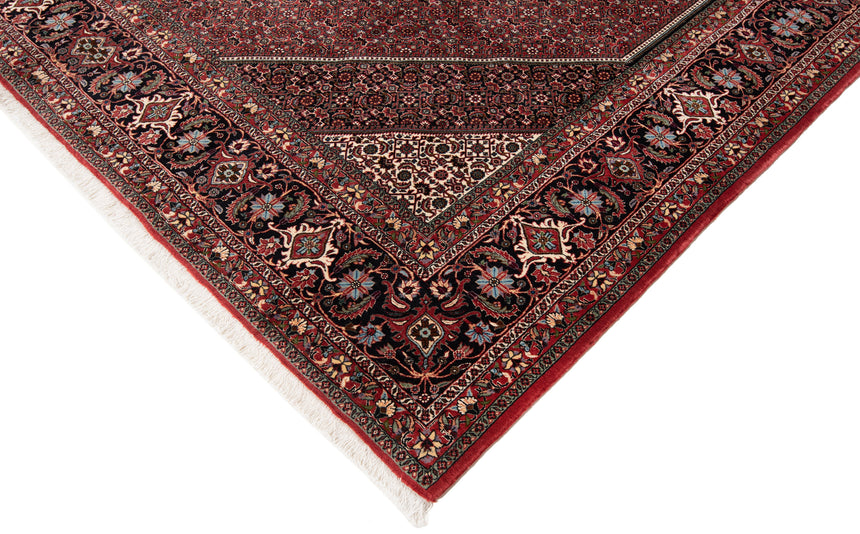 Alfombra Persa Bidjar | 288 x 252 cm