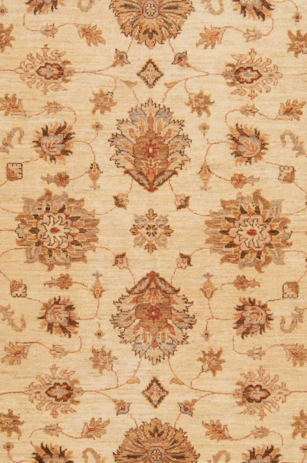 Alfombra Ziegler Farahan | 235 x 169 cm