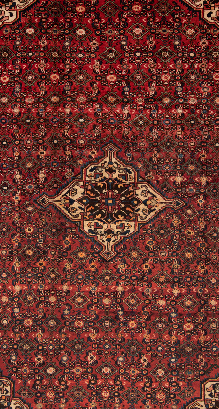 Alfombra persa Hamedan | 302 x 210 cm