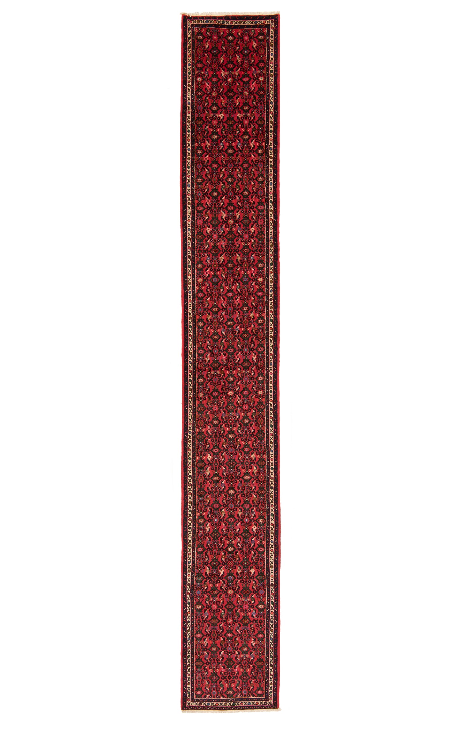 Alfombra Persa Hamedan | 590 x 83 cm