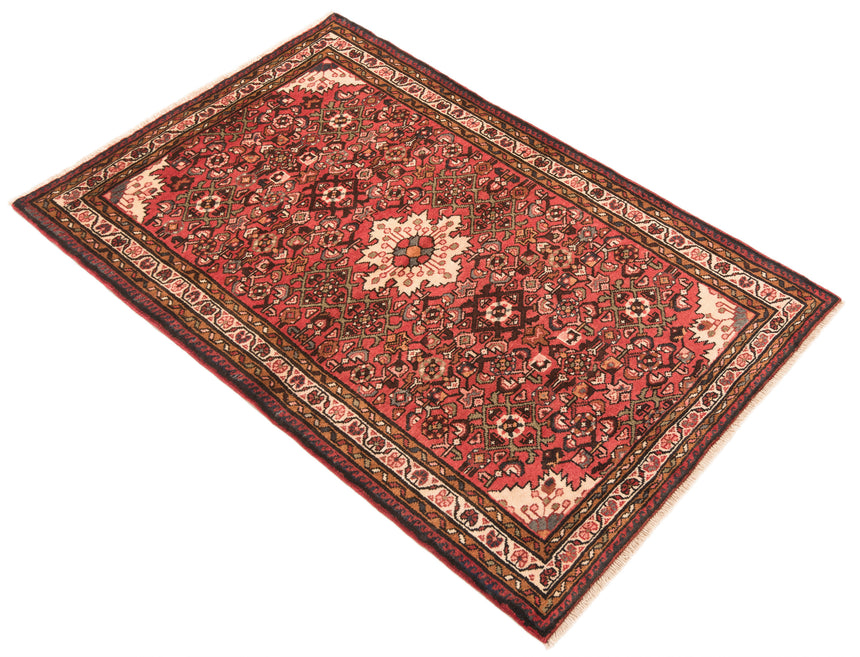 Hamedan Persian Rug | 171 x 111 cm