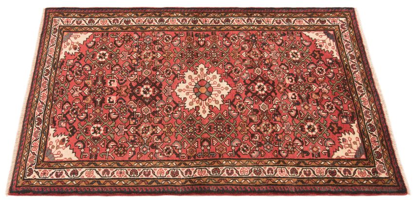 Hamedan Persian Rug | 171 x 111 cm