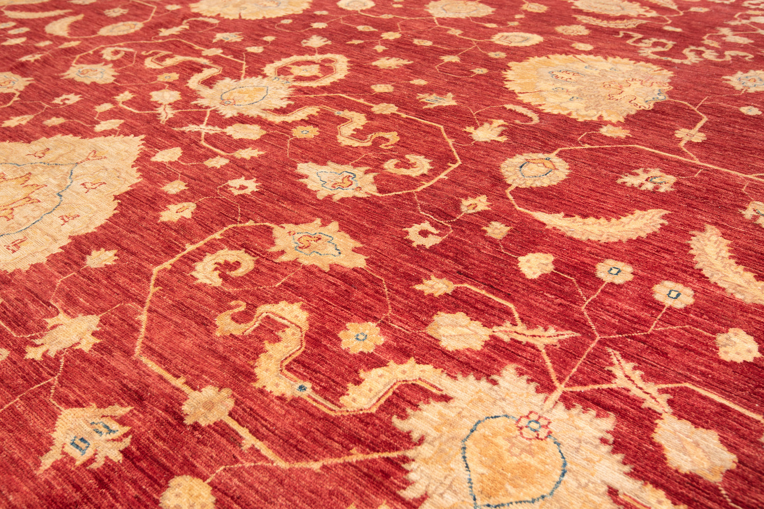 Ziegler Rug | 526 x 368cm