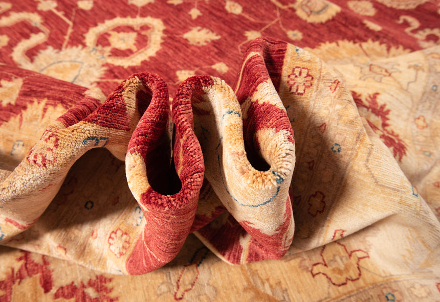 Ziegler Rug | 526 x 368cm