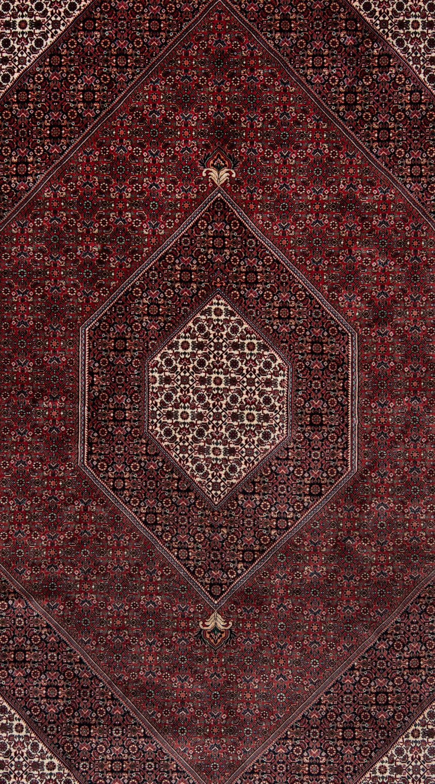 Alfombra Persa Bidjar | 305 x 199 cm