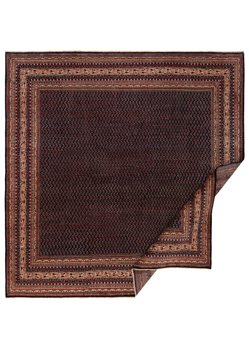 Alfombra persa Sarough | 295 x 293 cm