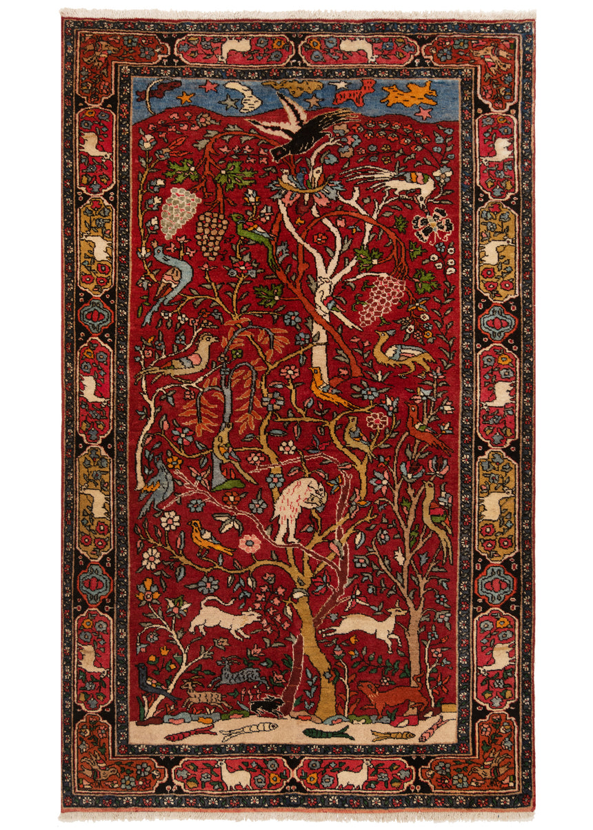 Alfombra persa Zanjan | 212 x 130 cm