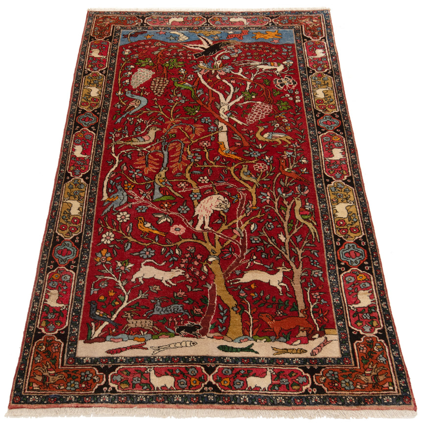 Alfombra persa Zanjan | 212 x 130 cm