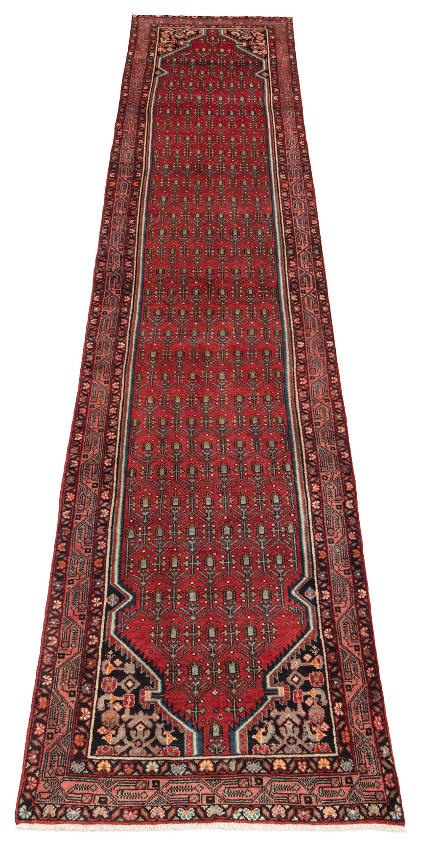 Alfombra persa Hamedan | 506 x 103 cm