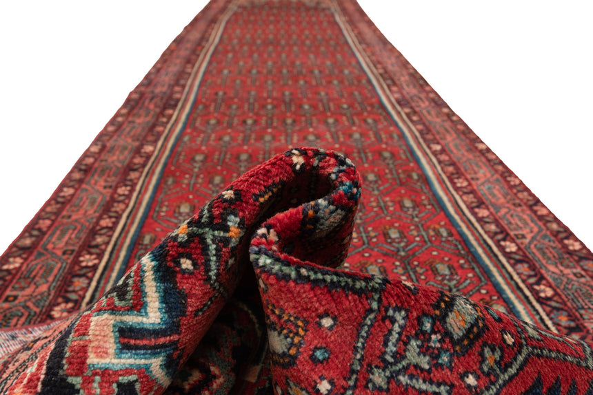 Alfombra persa Hamedan | 506 x 103 cm