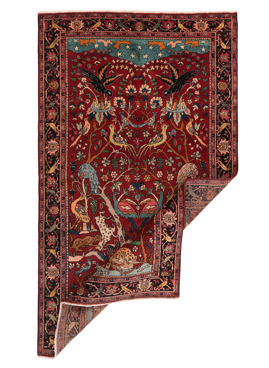 Alfombra persa Zanjan | 234 x 137 cm