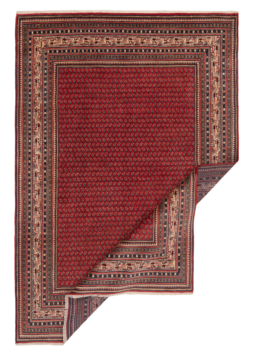 Alfombra persa Sarough mir | 305 x 210 cm