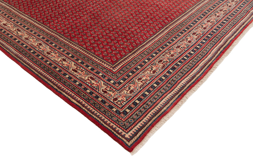 Alfombra persa Sarough mir | 305 x 210 cm
