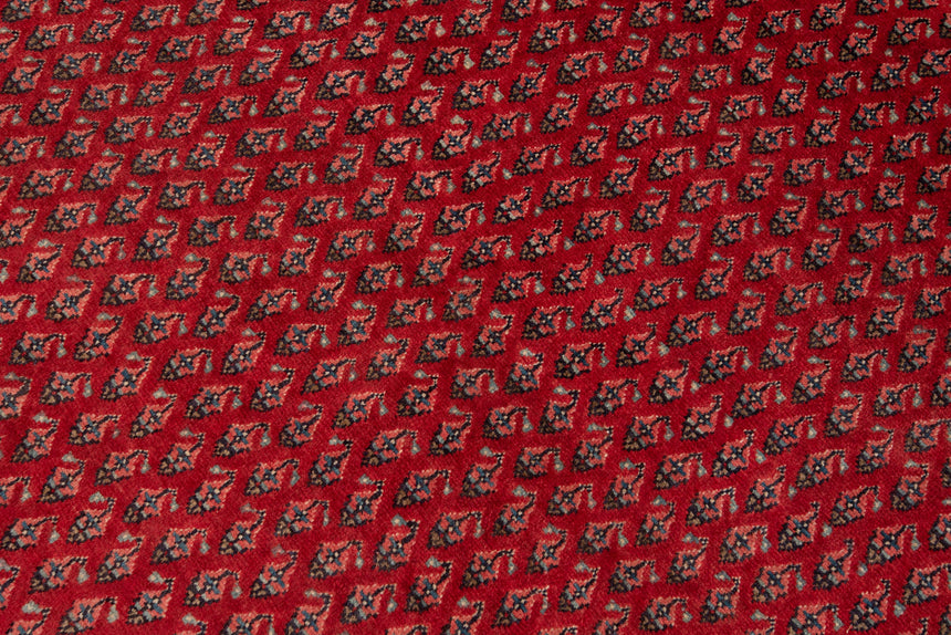 Alfombra persa Sarough mir | 305 x 210 cm