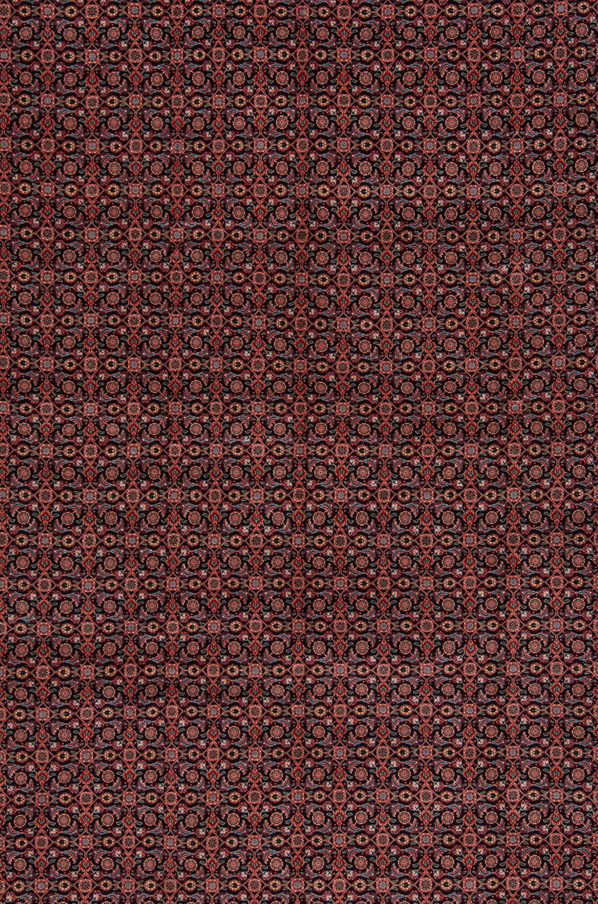 Alfombra persa Tabriz | 342 x 250 cm