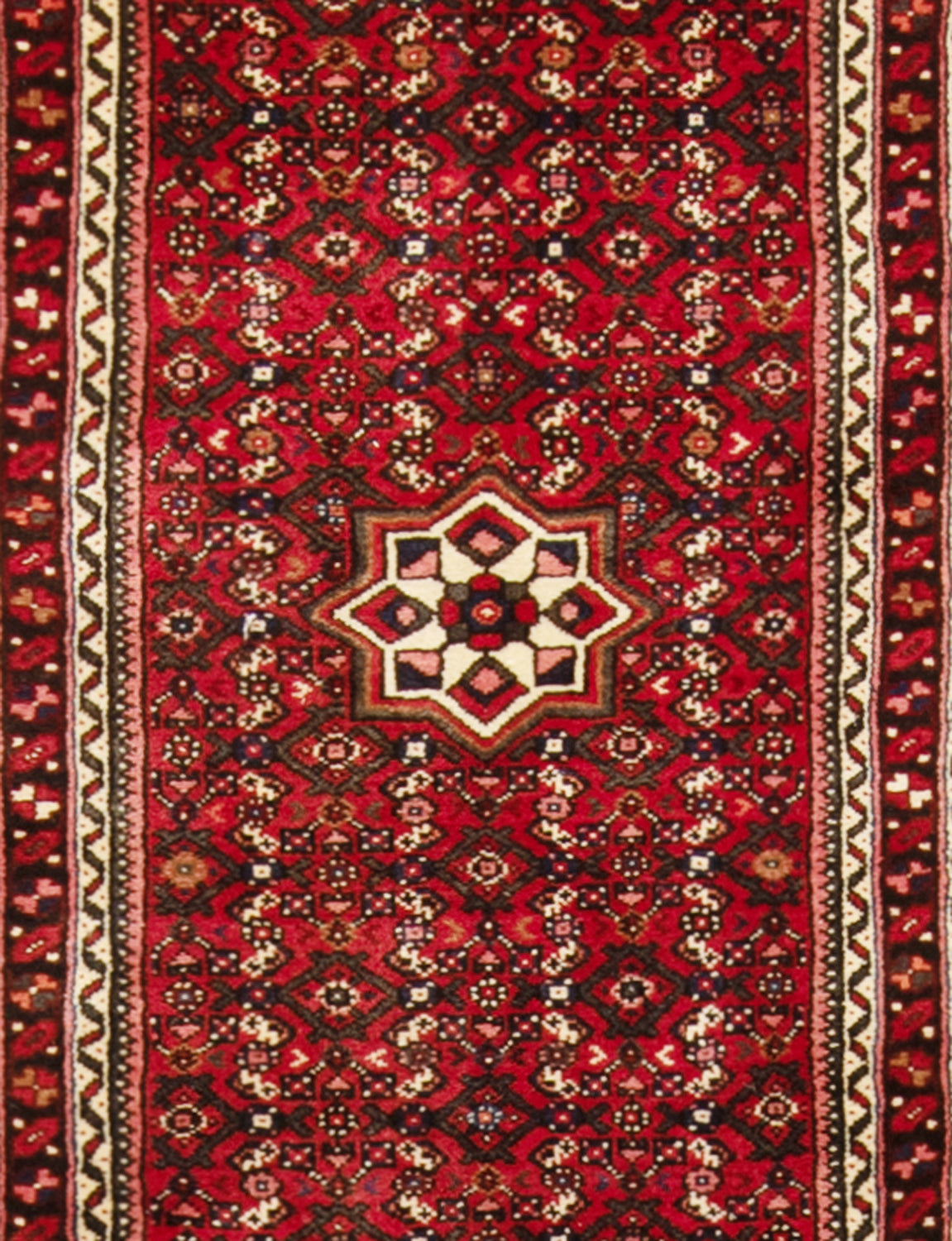 Carpetes persas Hamedan | 696 x 84 cm