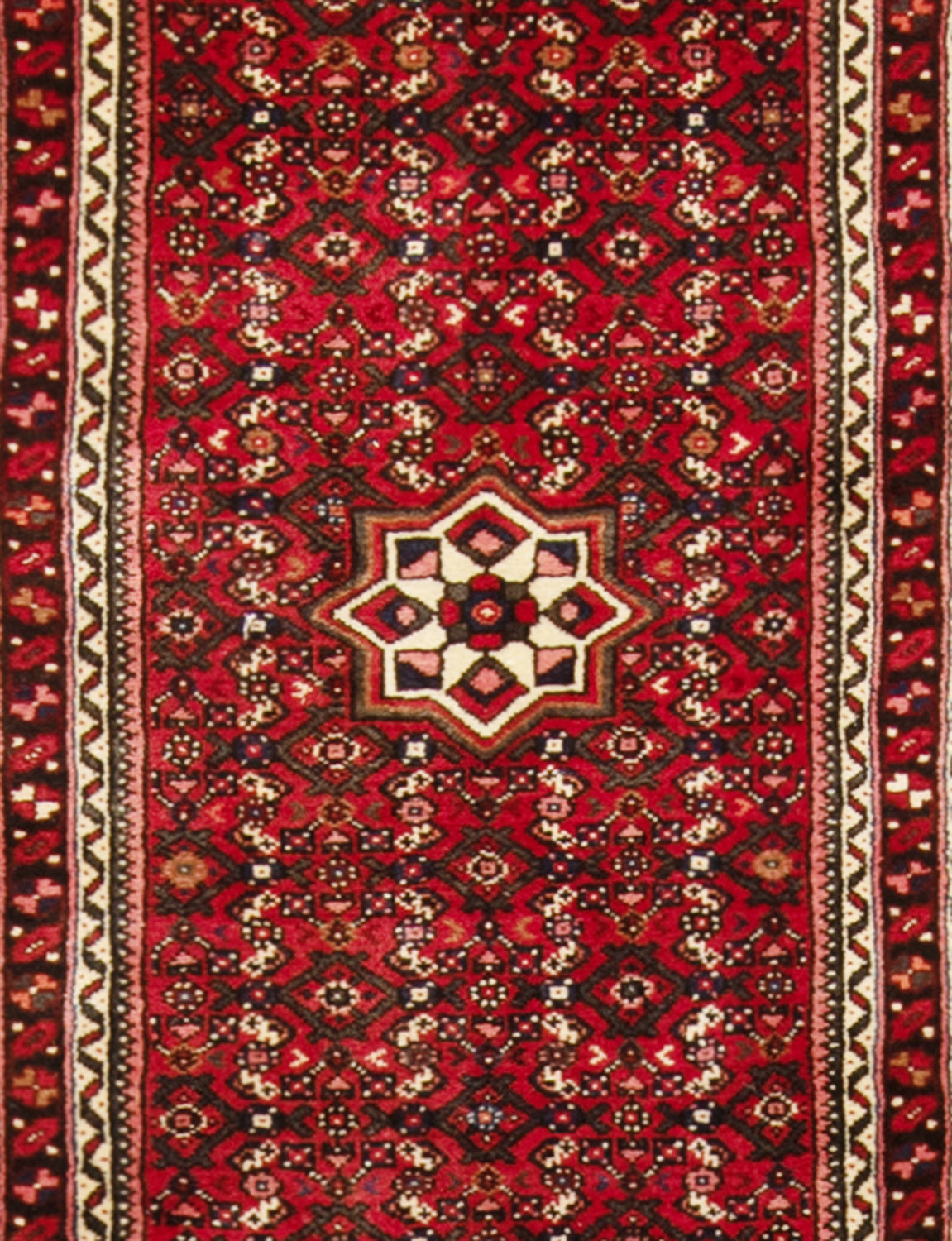 Alfombra persa Hamedan | 696 x 84 cm