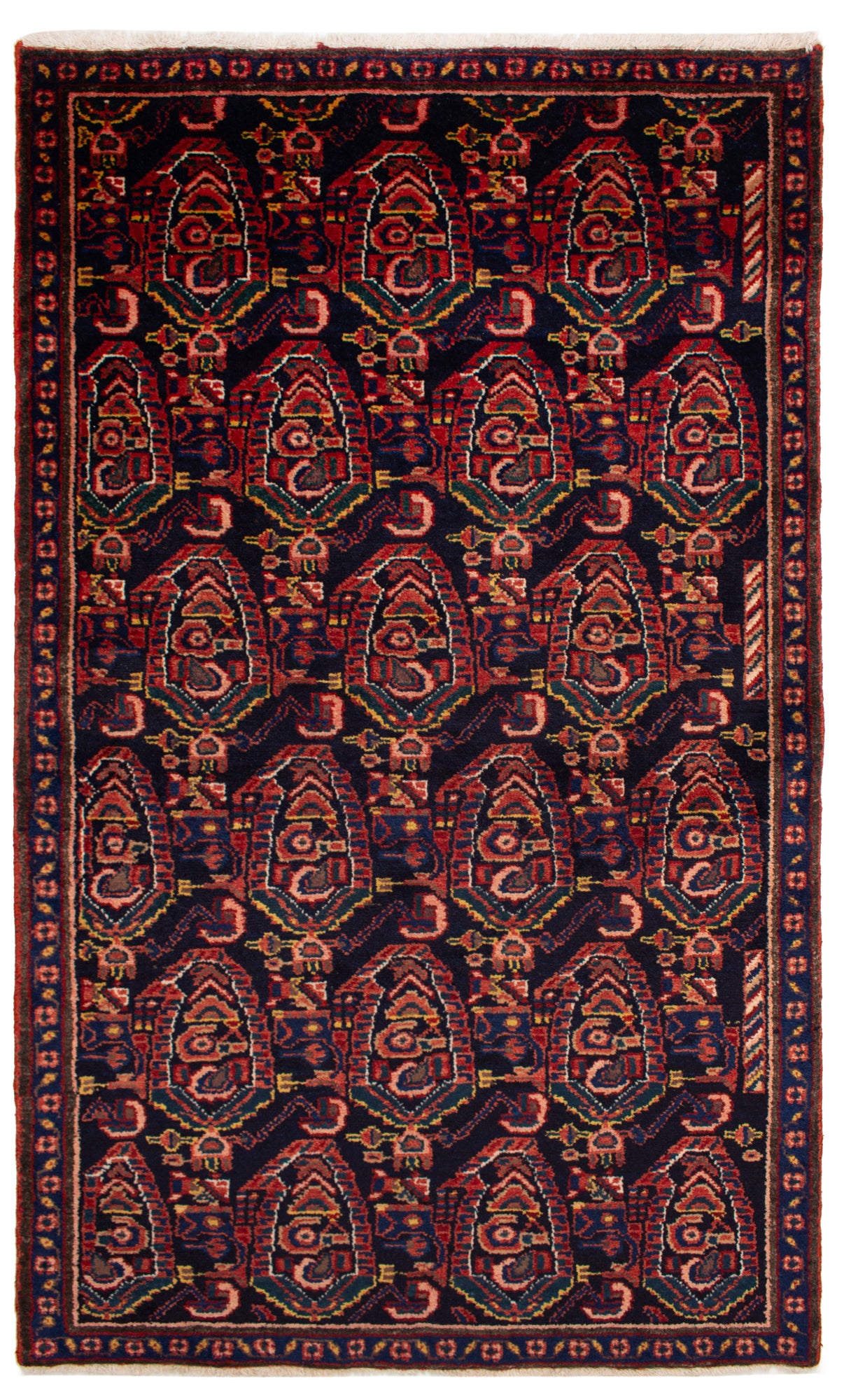 Alfombra Persa Hamedan | 172 x 101 cm