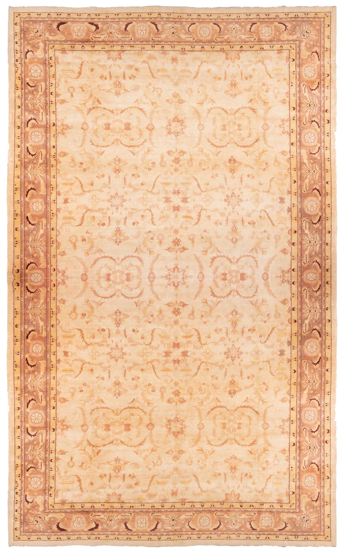 Ziegler Alfombra | 789 x 497 cm