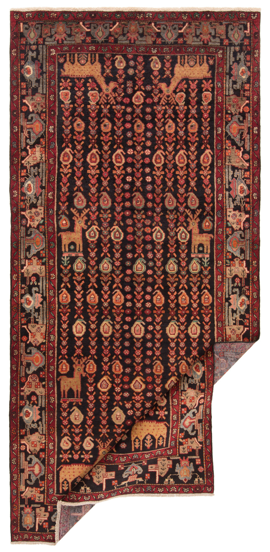 Alfombra persa Koliai | 320 x 151 cm