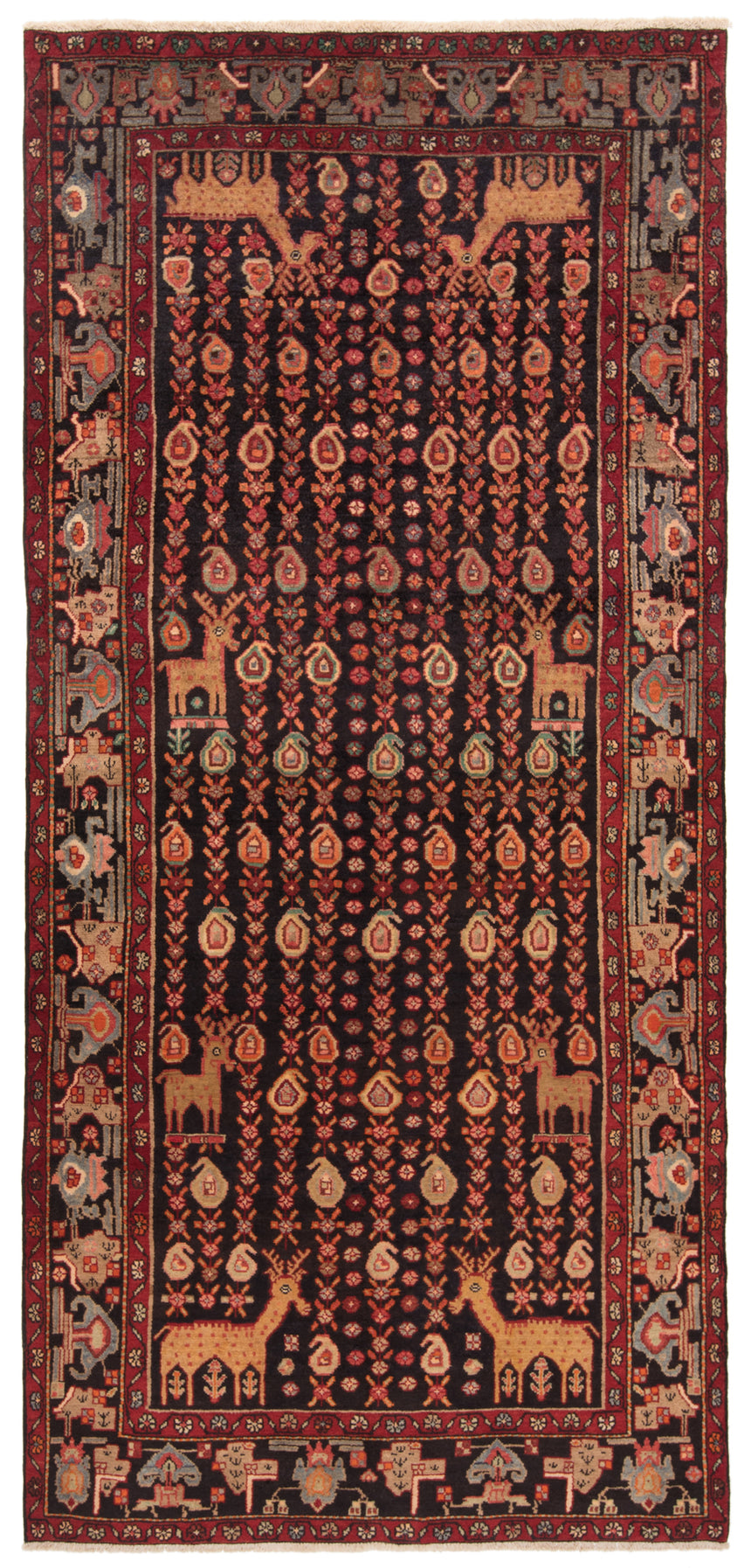 Alfombra persa Koliai | 320 x 151 cm