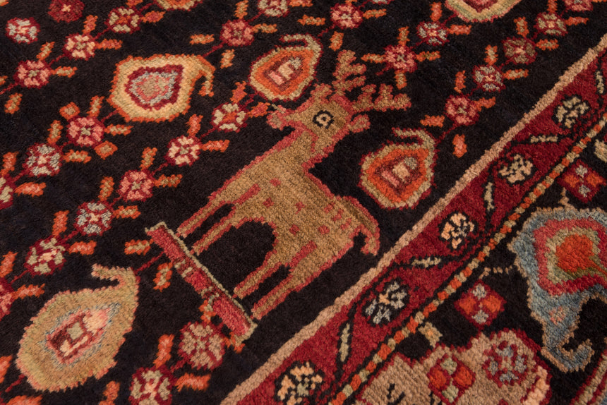 Alfombra persa Koliai | 320 x 151 cm