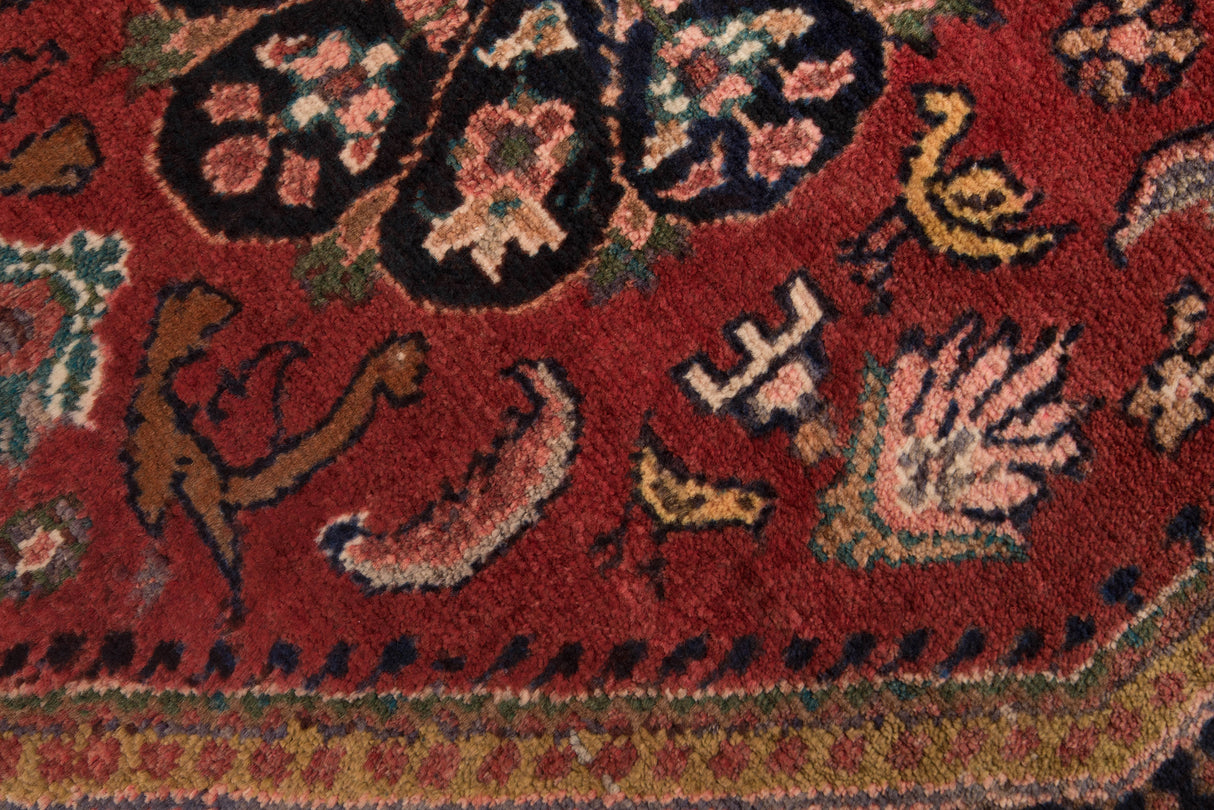 Carpetes persas Hamedan | 221 x 105 cm