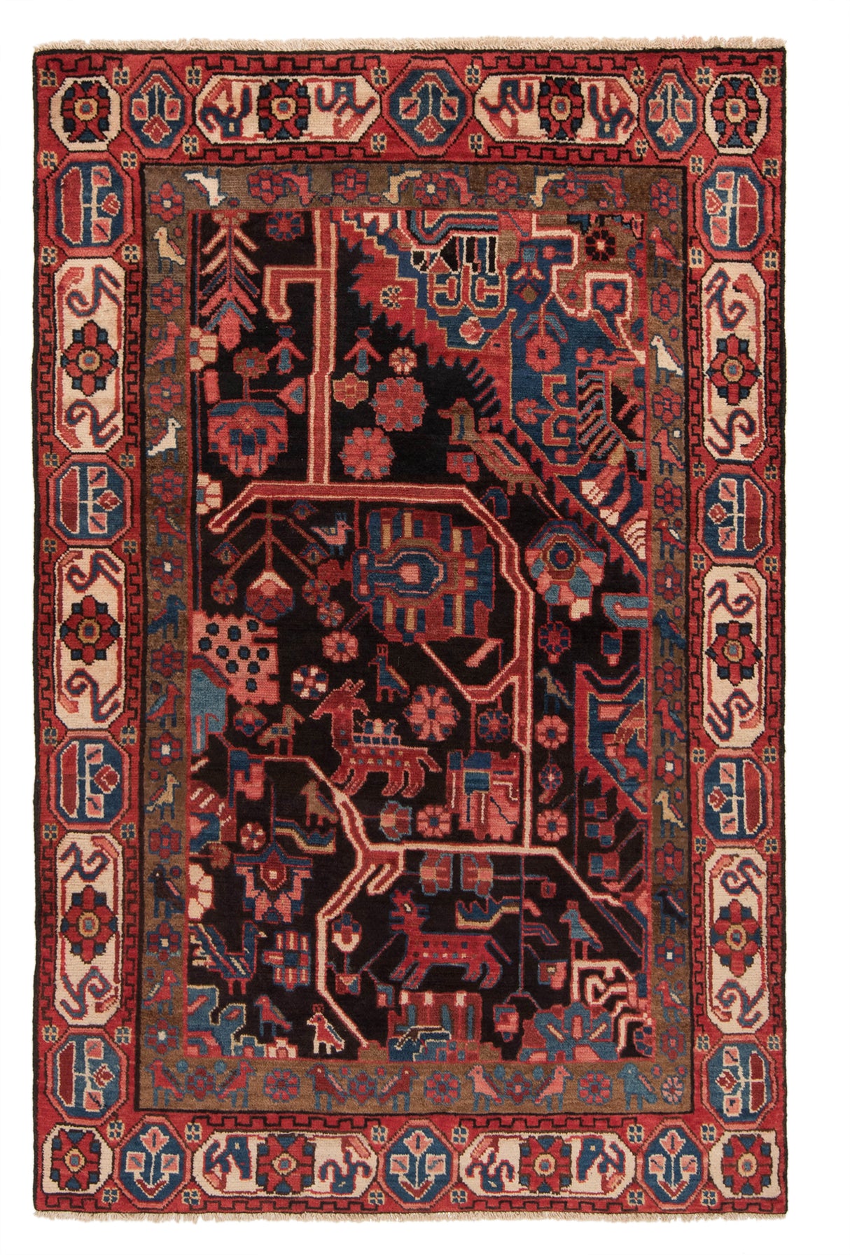 Carpetes persas Hamedan | 166 x 108 cm