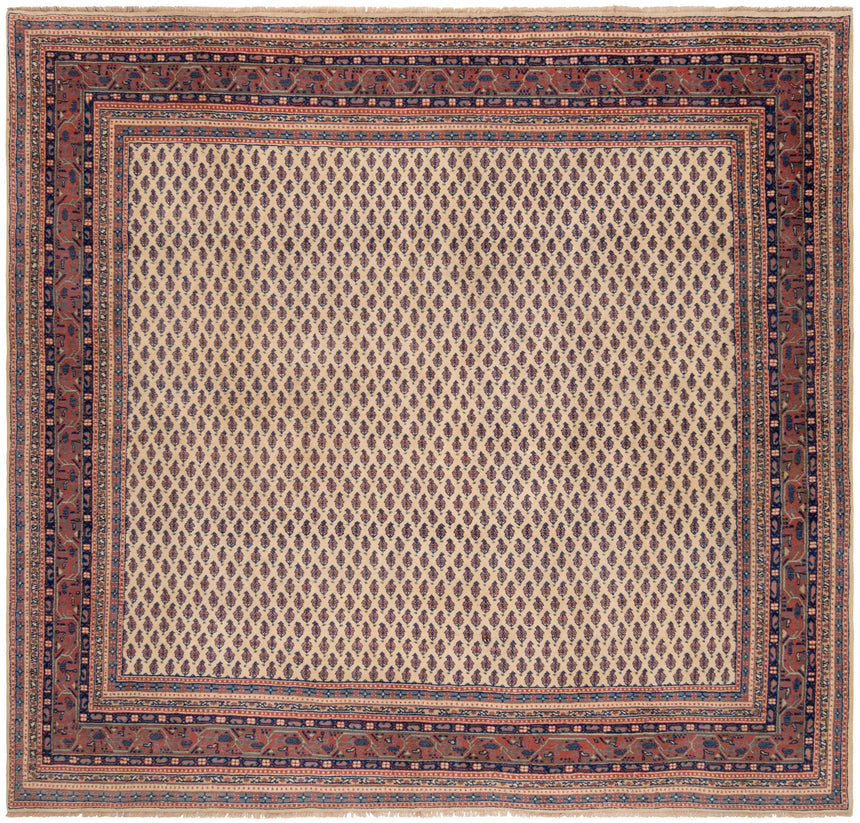 Tapete indiano sarough mir | 215 x 227 cm