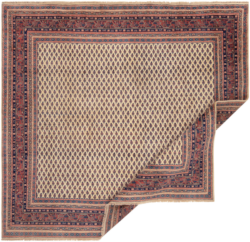 Tapete indiano sarough mir | 215 x 227 cm