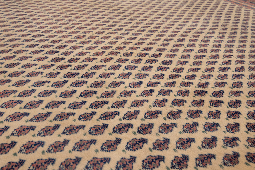 Tapete indiano sarough mir | 215 x 227 cm