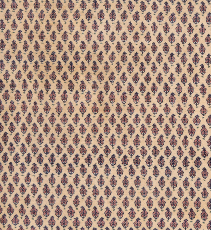 Tapete indiano sarough mir | 215 x 227 cm