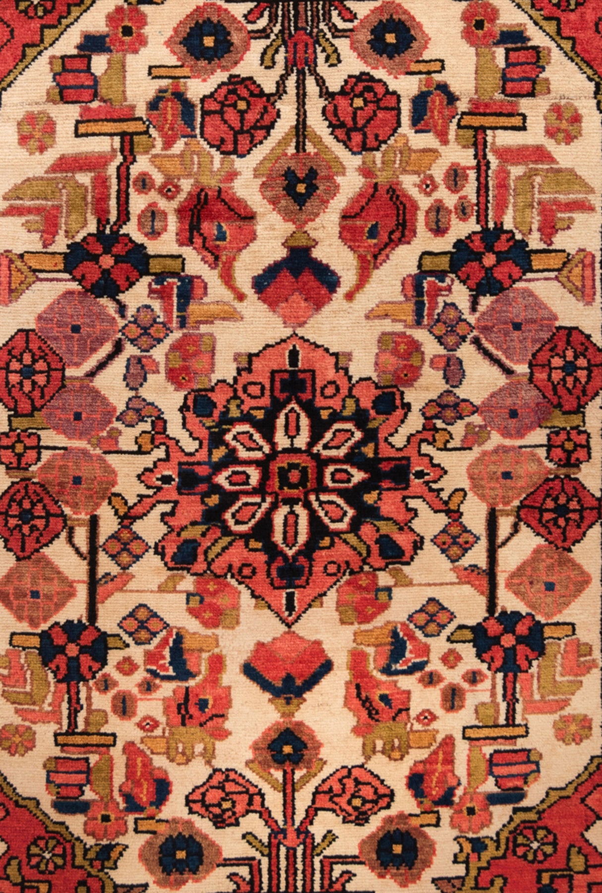 Alfombra persa Hamedan | 172 x 107 cm