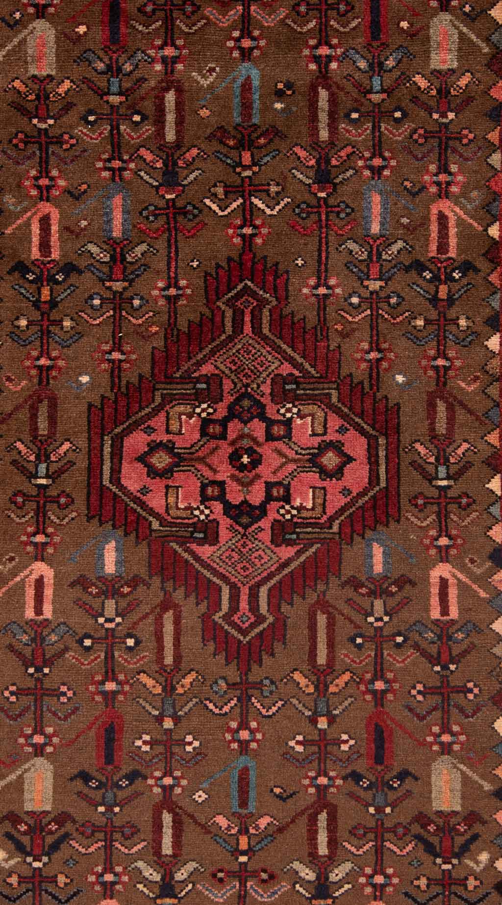 Hamedan Alfombra Persa | 340 x 122 cm