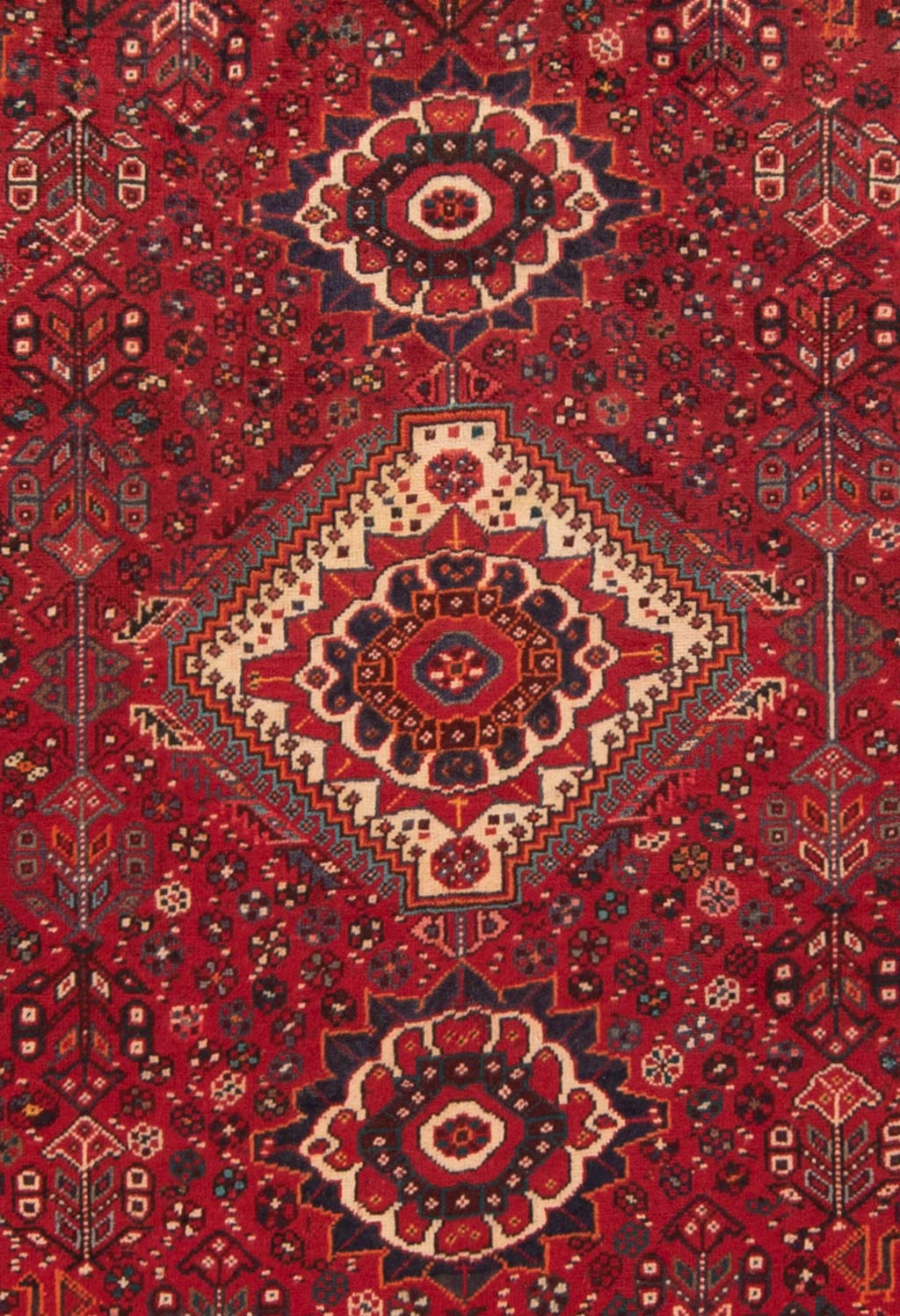 Shiraz Alfombra Persa | 262 x 181 cm