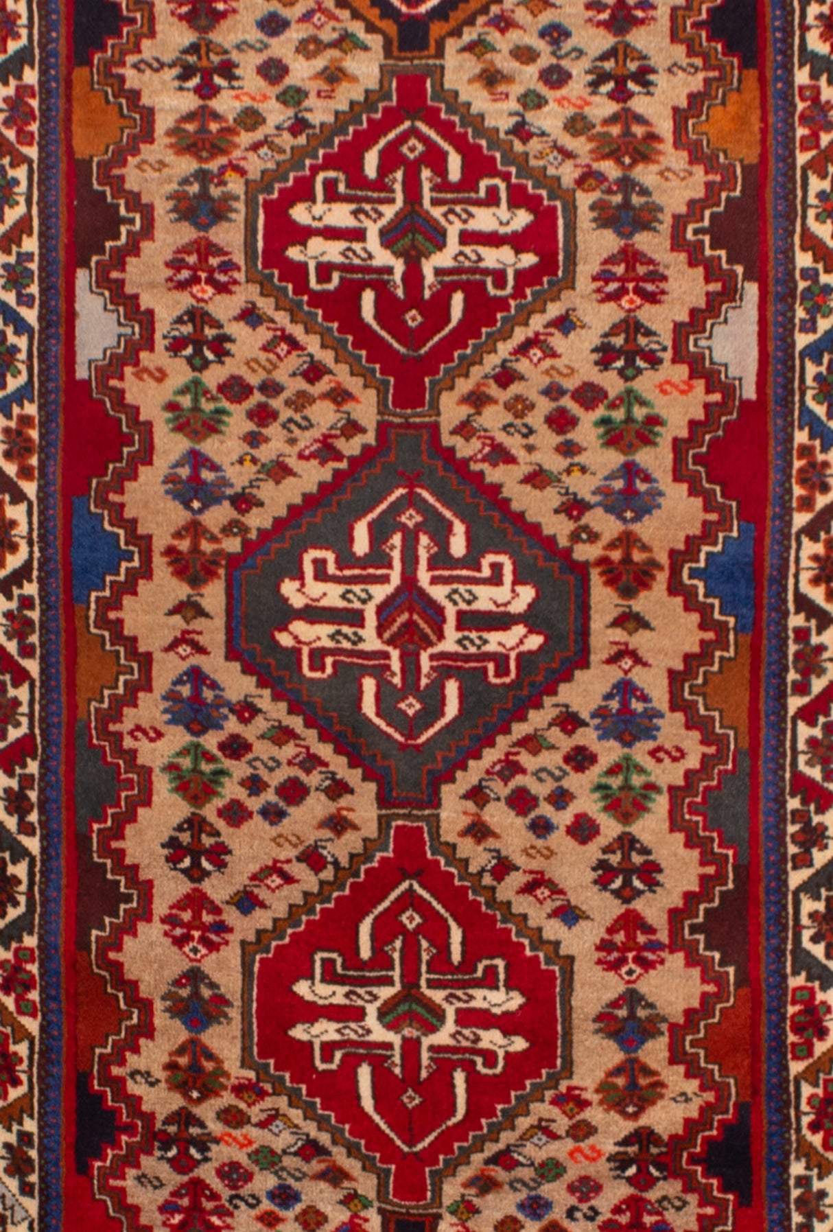 Alfombra Persa Hamedan | 251 x 86 cm