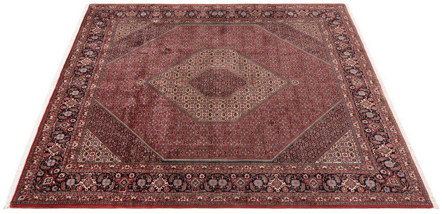 Bidjar do tapete persa | 288 x 252 cm
