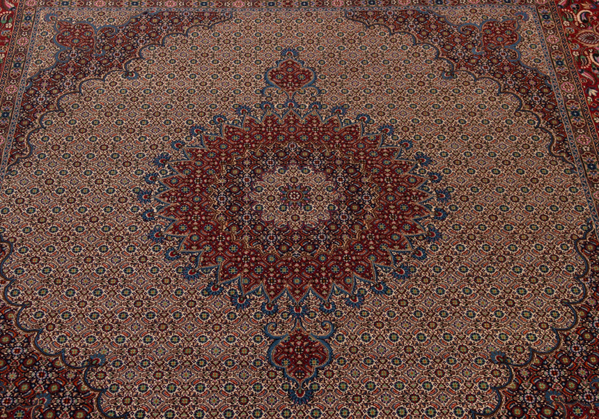 Alfombra Persa Moud | 282 x 247 cm