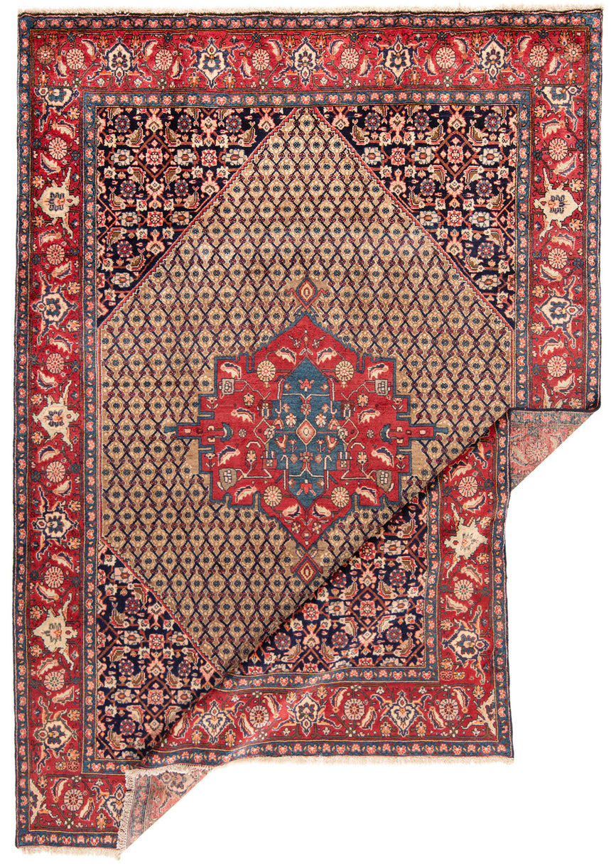 Alfombra persa Koliai | 292 x 205 cm
