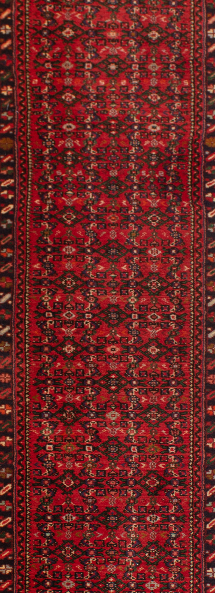Alfombra Persa Hamedan | 1060 x 70 cm