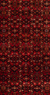 Alfombra Persa Hamedan | 292 x 86 cm