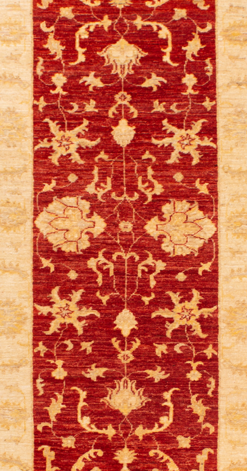 Ziegler Carpet | 284 x 74 cm