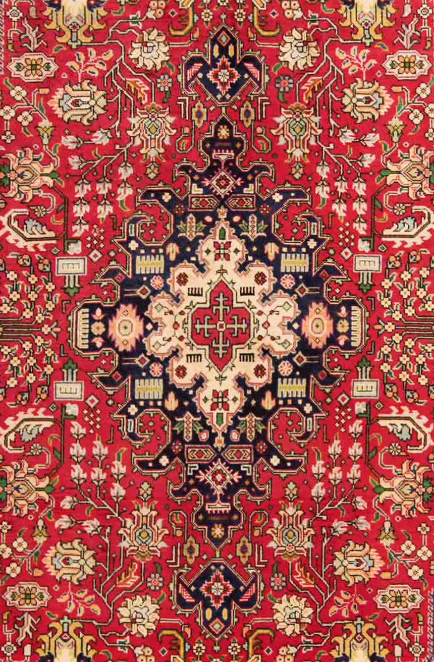 Tabriz Persian Rug | 305 x 203 cm