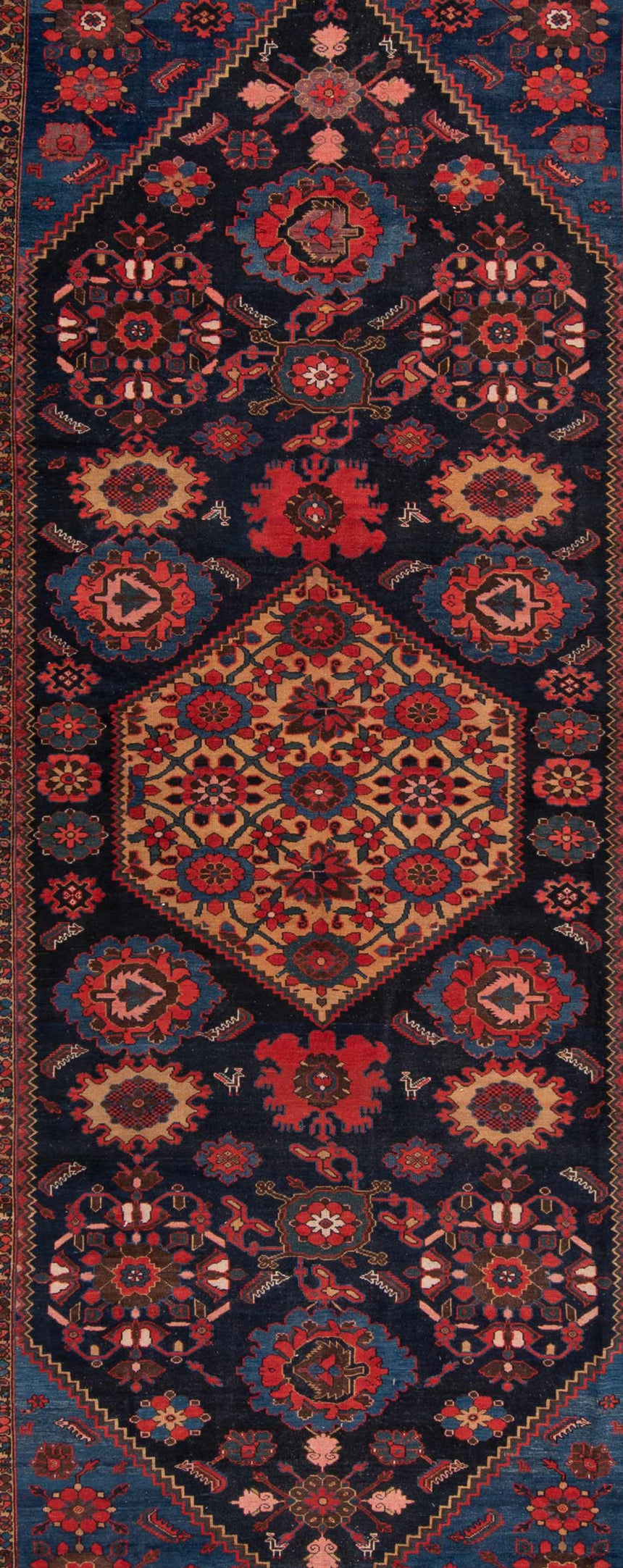 Zanjan Alfombra Persa Antigua 100 años | 617 x 205 cm