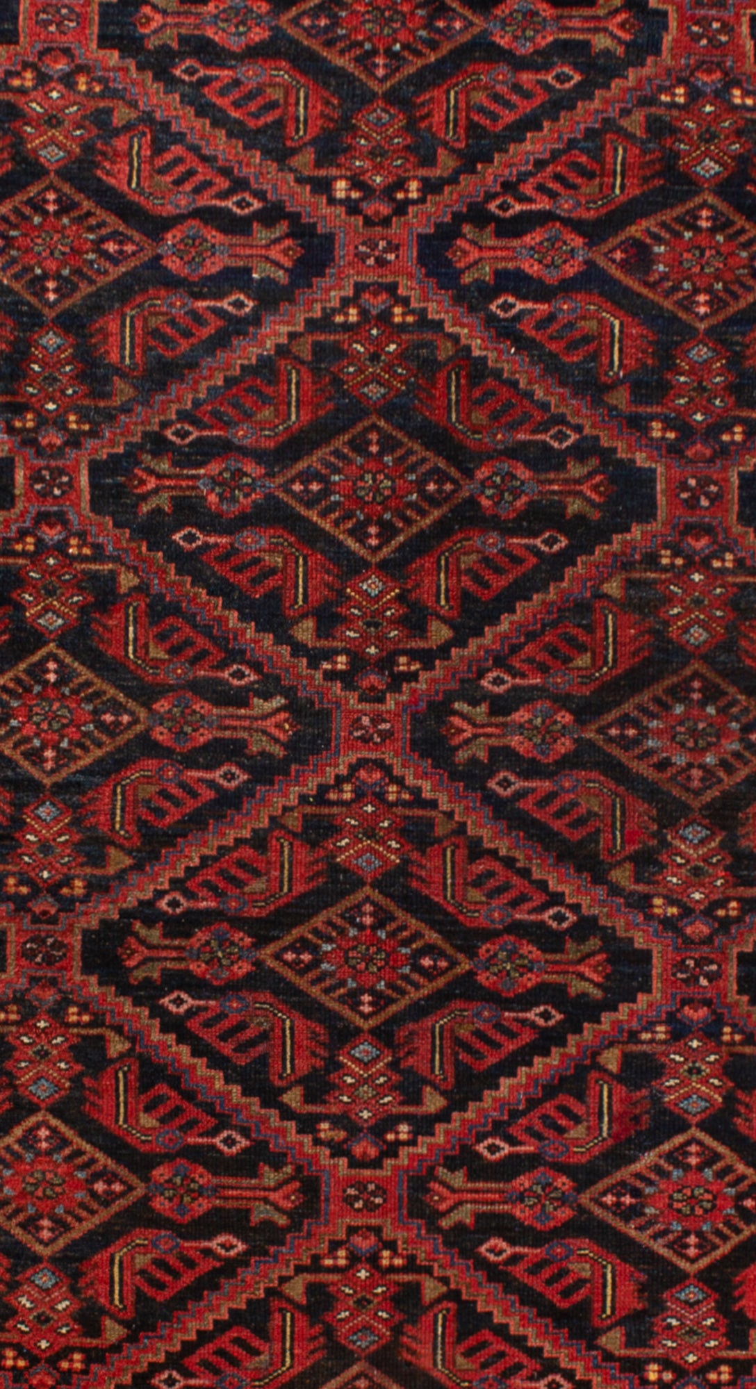 Carpete persa antigo Zanjan | 290 x 158 cm